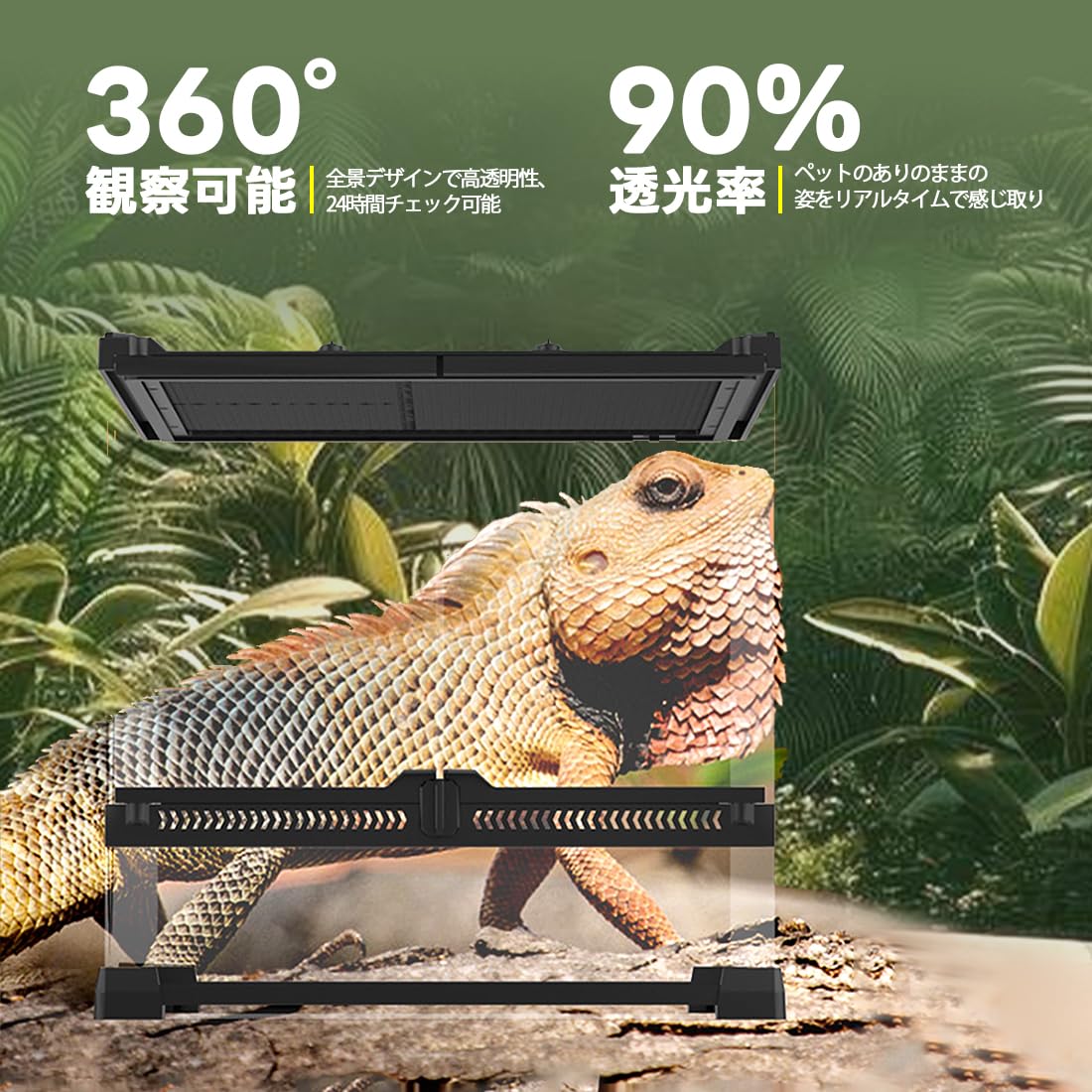 Amazon | Auybuig 爬虫類 ケージ 飼育ケース グラステラリウム 組立